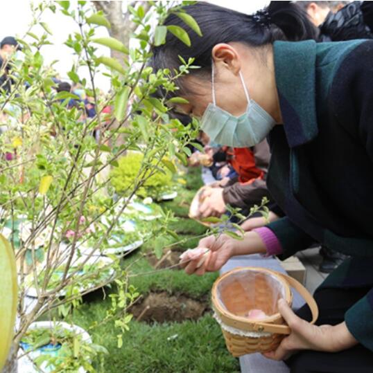 如何选择上海的借卵试管婴儿机构(1)
