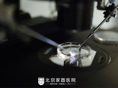 供卵做试管婴儿胚胎移植后需要补充黄体酮吗？多久的补充期比较合适？
