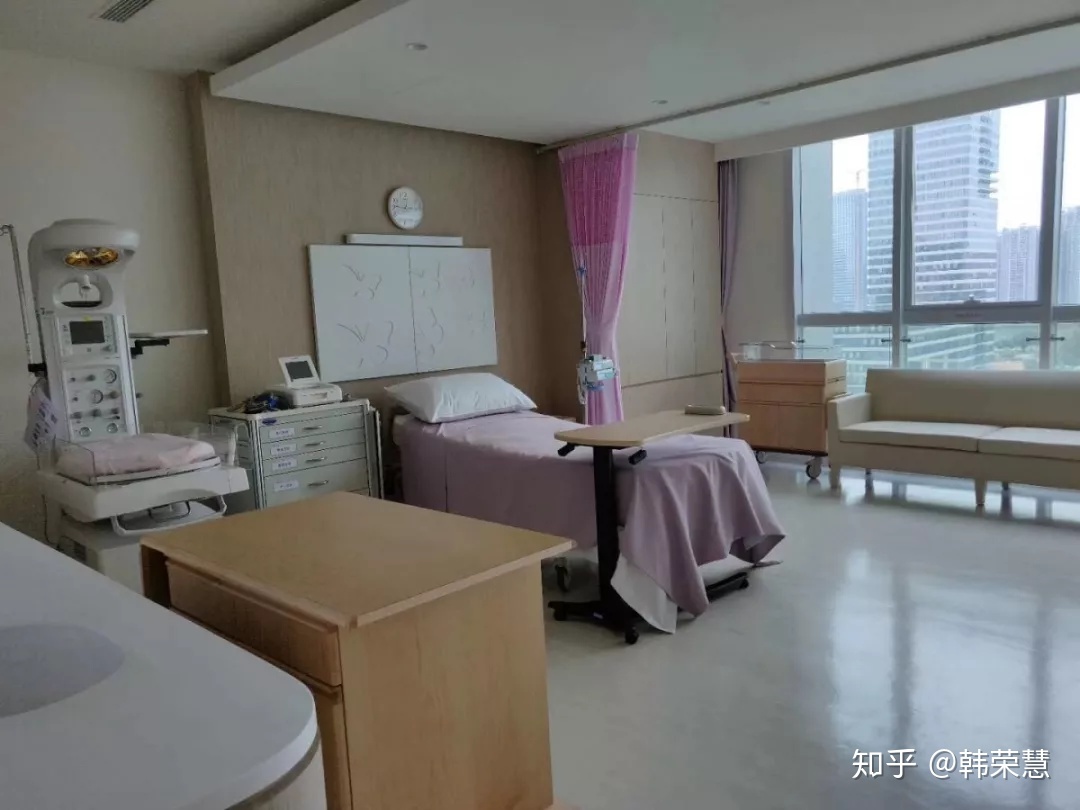 做供卵生子供卵试管需要多少个步骤？小鼠实验告诉你