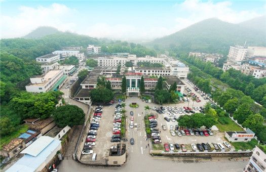 最近做完借卵做供卵代生试管后吃什么好呢