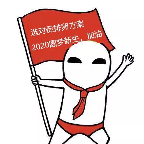 同房能怀孕吗_同房蛋p怀孕有血缘关系吗_柬埔寨同性恋借卵做二代供卵试管合法吗？