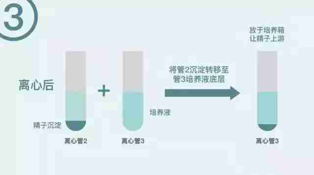 供卵自怀借卵试管移植后肚子隐隐作痛正常吗？