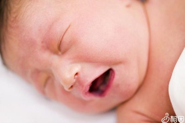 上海妇幼做供卵试管婴儿需要多少钱