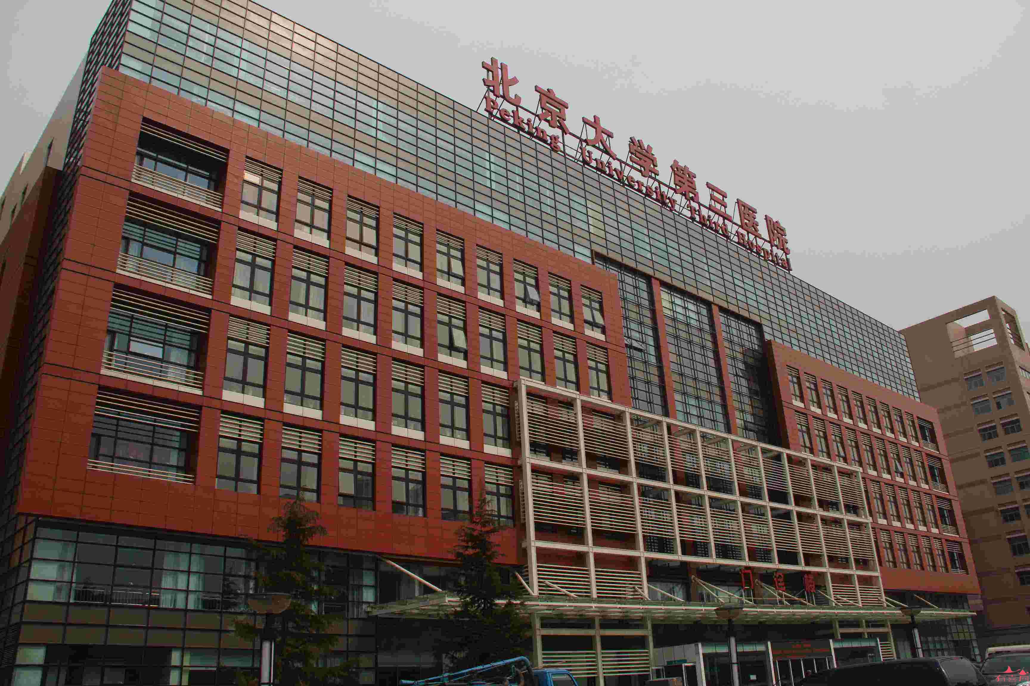 内膜厚怎么做供卵试管