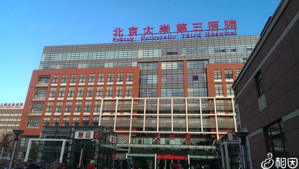 早衰赠卵试管用什么方案