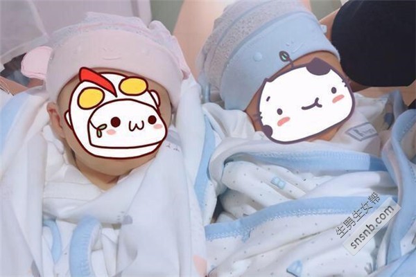 上海哪个供卵试管婴儿医院效果好