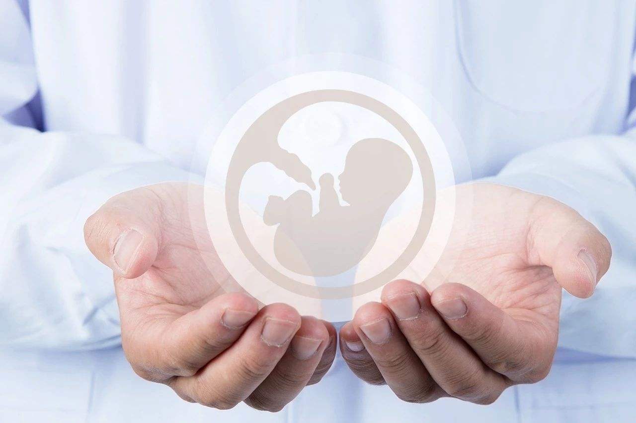 上海妇幼保健院试管婴儿技术怎么样