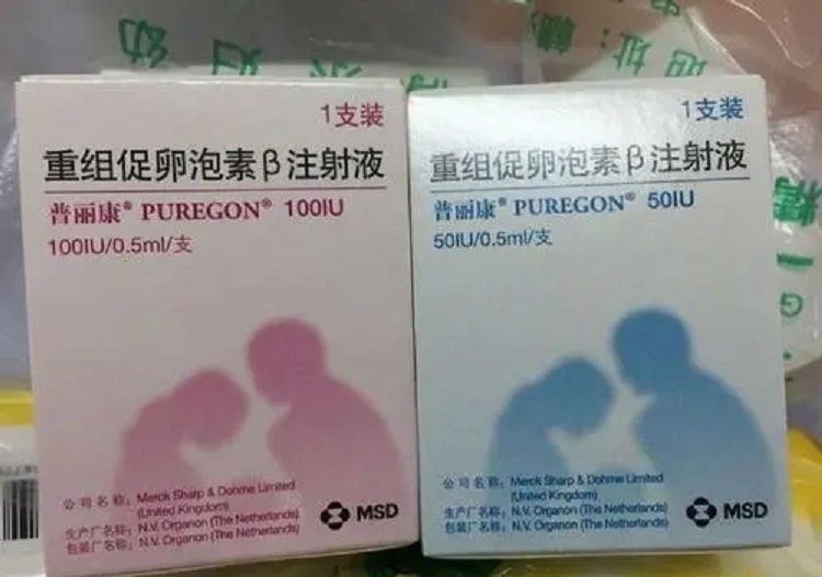 试管改良方案是什么意思