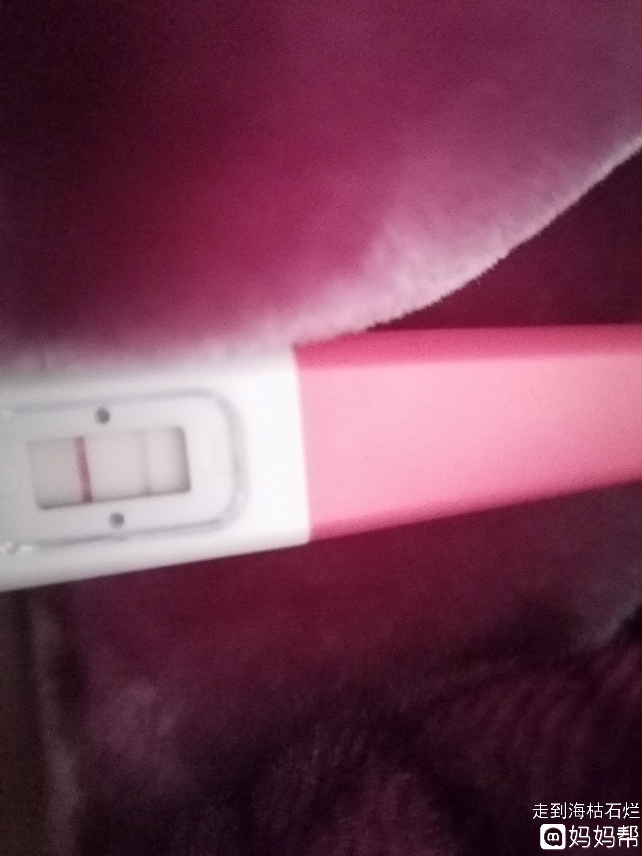 世界上第一个试管婴儿出生于哪一年