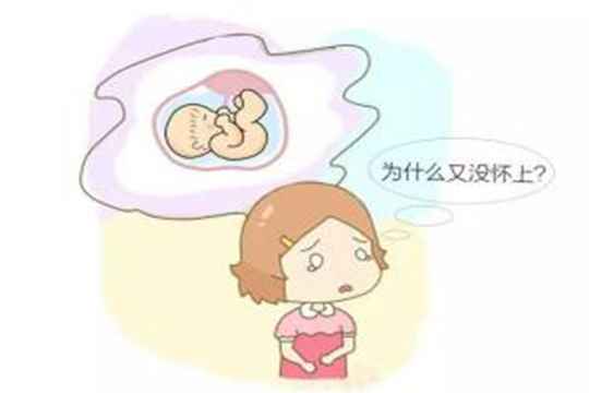 上海试管私立医院排名