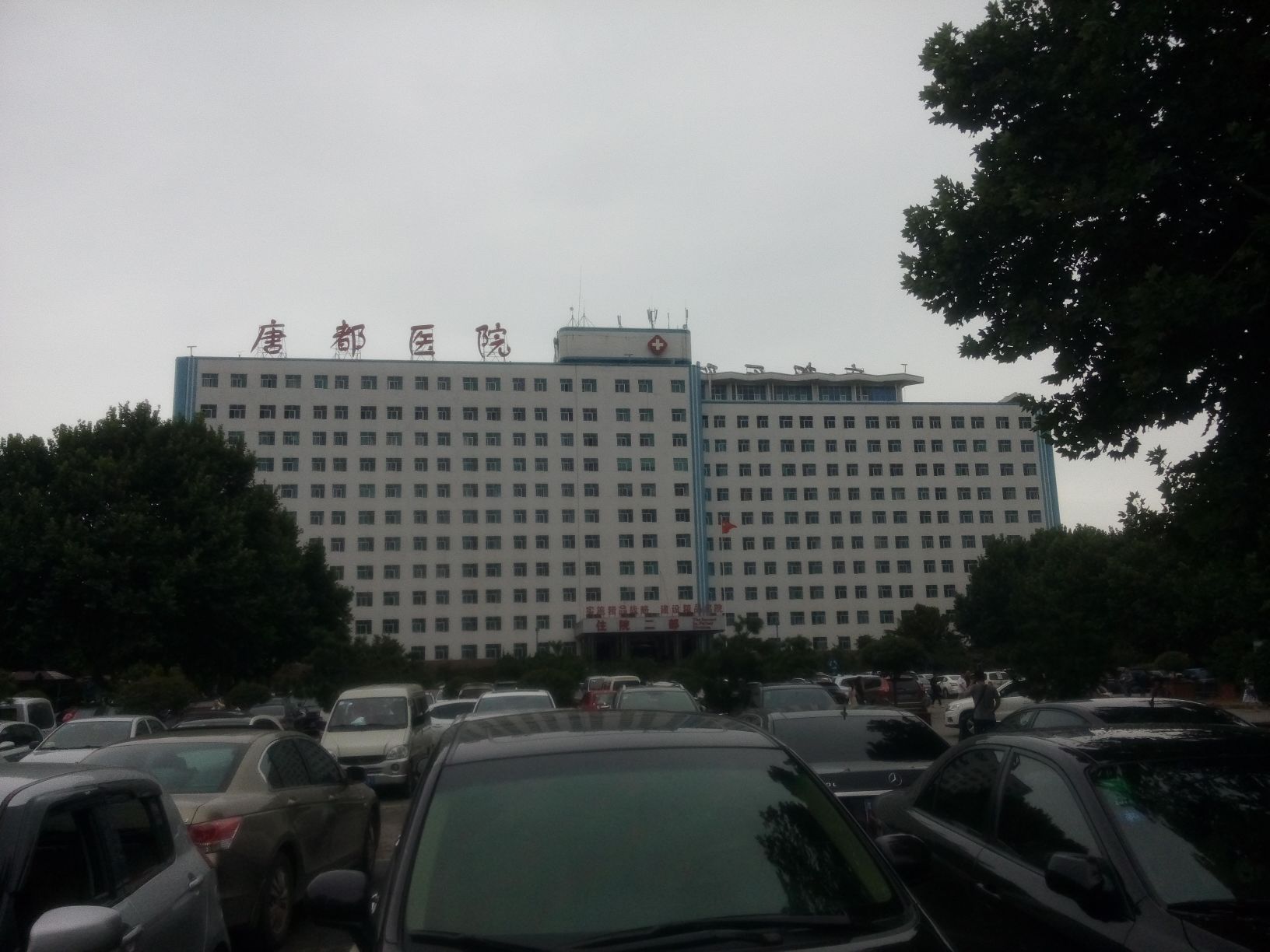 供卵试管代怀安全吗成功着床有哪些表现这5种特别准