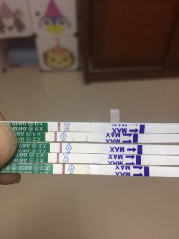高龄供卵多少钱+促排期间内膜越来越薄