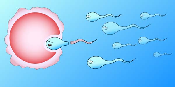 卵巢早衰照样能代生套餐选性别婴儿如何提高成功率、费用多少