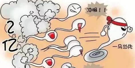 什么情况下可以借精生子+借精生子可以上户口吗