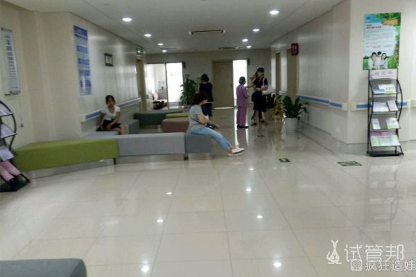 10个人移植囊胚一次能成功几个