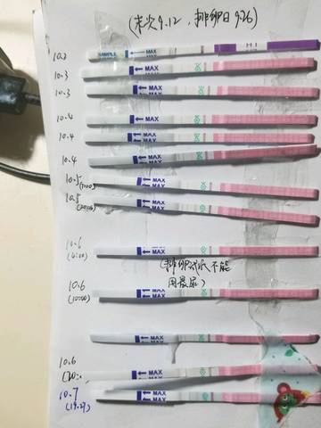 什么人适合寻求试管代怀妈妈婴儿（试管代怀夫妻婴儿的都是什么人群？）