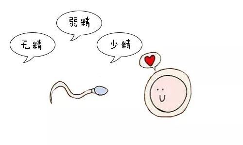 上海市找别人试管代怀的费用包生儿子价格（上海试管代怀需要配血型吗包生儿子价格多少）
