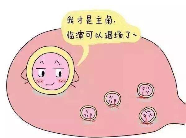 上海市做单周期供卵试管代怀男孩机构一代大概要多少钱