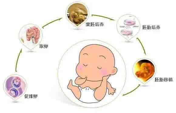 供卵代生包性别需要多少钱+用供卵的夫妻后来怎样了