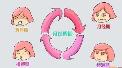 宫外孕可以试管代生孩子服务吗