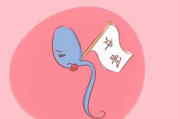 2024年上海私立代生试管医院哪家好些（上海三代做试管代怀的步骤医院排名公布!）