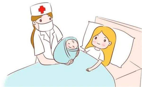 试管备孕能吃什么水果,促排还有移植后吃什么水果好