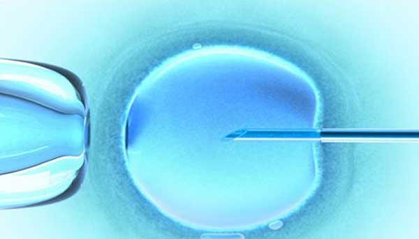 2024年在上海家恩德运医院供卵代怀孩子婴儿的成功率高吗（大概在多少？）