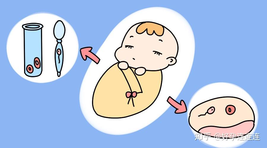 2024年上海教师领取生育津贴的流程是怎样的（需要哪些材料？）
