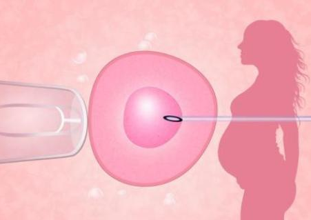 上海省妇幼保健院试管代怀哪个地方最好包生男孩费用是多少