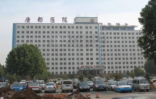 女性不孕-我是多囊卵巢综合征还是卵巢早衰能
