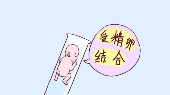 2024上海代怀孩子价格婴儿能报销吗（看看上海市试管报销条件都有哪些）