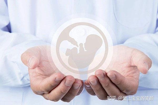 2024在支付宝上面能够查到自己的生育津贴金额吗