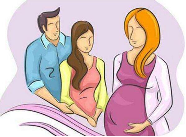 什么情况可以试管供卵自怀婴儿pgd诊断与pgs筛查的哪个费用更高